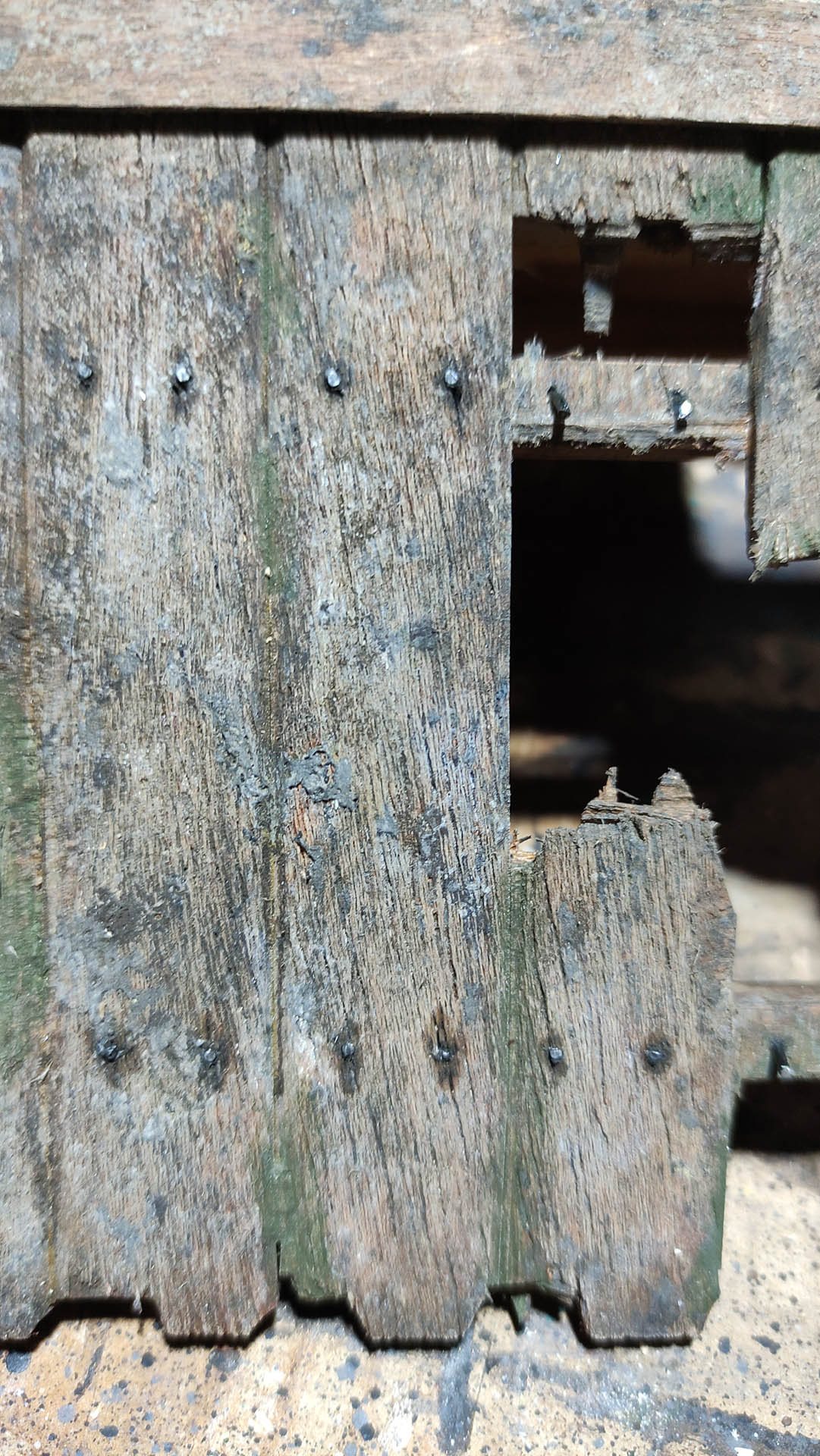 Diorama artístico de una cabaña de madera azul envejecida sobre pilotes en un pantano, con efectos de agua estancada, un bote de remos y detalles de vegetación pantanosa.
