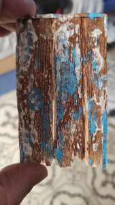 Diorama artístico de una cabaña de madera azul envejecida sobre pilotes en un pantano, con efectos de agua estancada, un bote de remos y detalles de vegetación pantanosa.