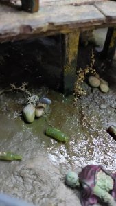 Diorama artístico de una cabaña de madera azul envejecida sobre pilotes en un pantano, con efectos de agua estancada, un bote de remos y detalles de vegetación pantanosa.