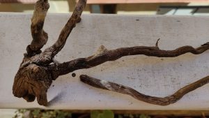 Diorama artístico de una cabaña de madera azul envejecida sobre pilotes en un pantano, con efectos de agua estancada, un bote de remos y detalles de vegetación pantanosa.