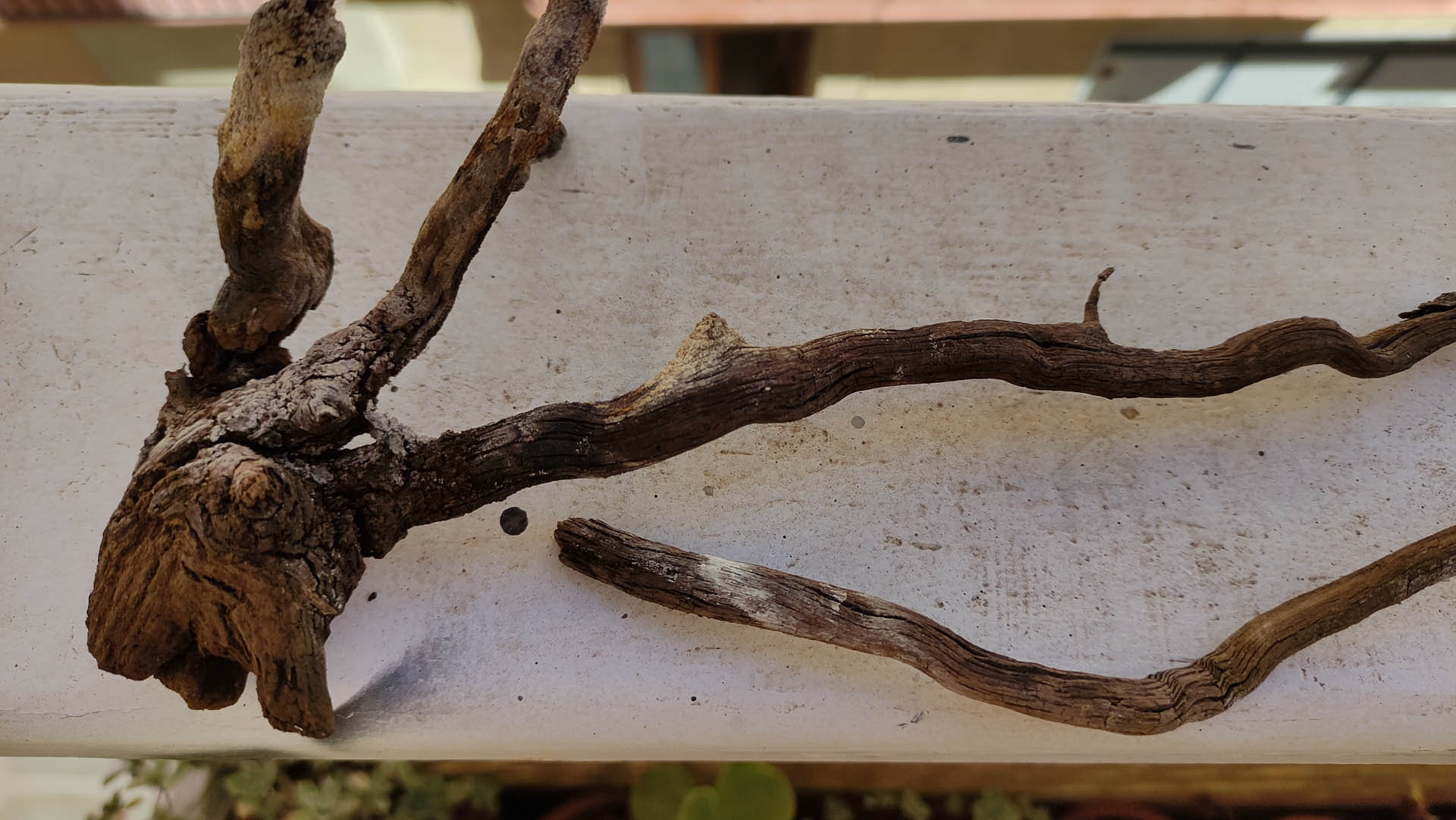 Diorama artístico de una cabaña de madera azul envejecida sobre pilotes en un pantano, con efectos de agua estancada, un bote de remos y detalles de vegetación pantanosa.