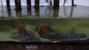 Diorama artístico de una cabaña de madera azul envejecida sobre pilotes en un pantano, con efectos de agua estancada, un bote de remos y detalles de vegetación pantanosa.