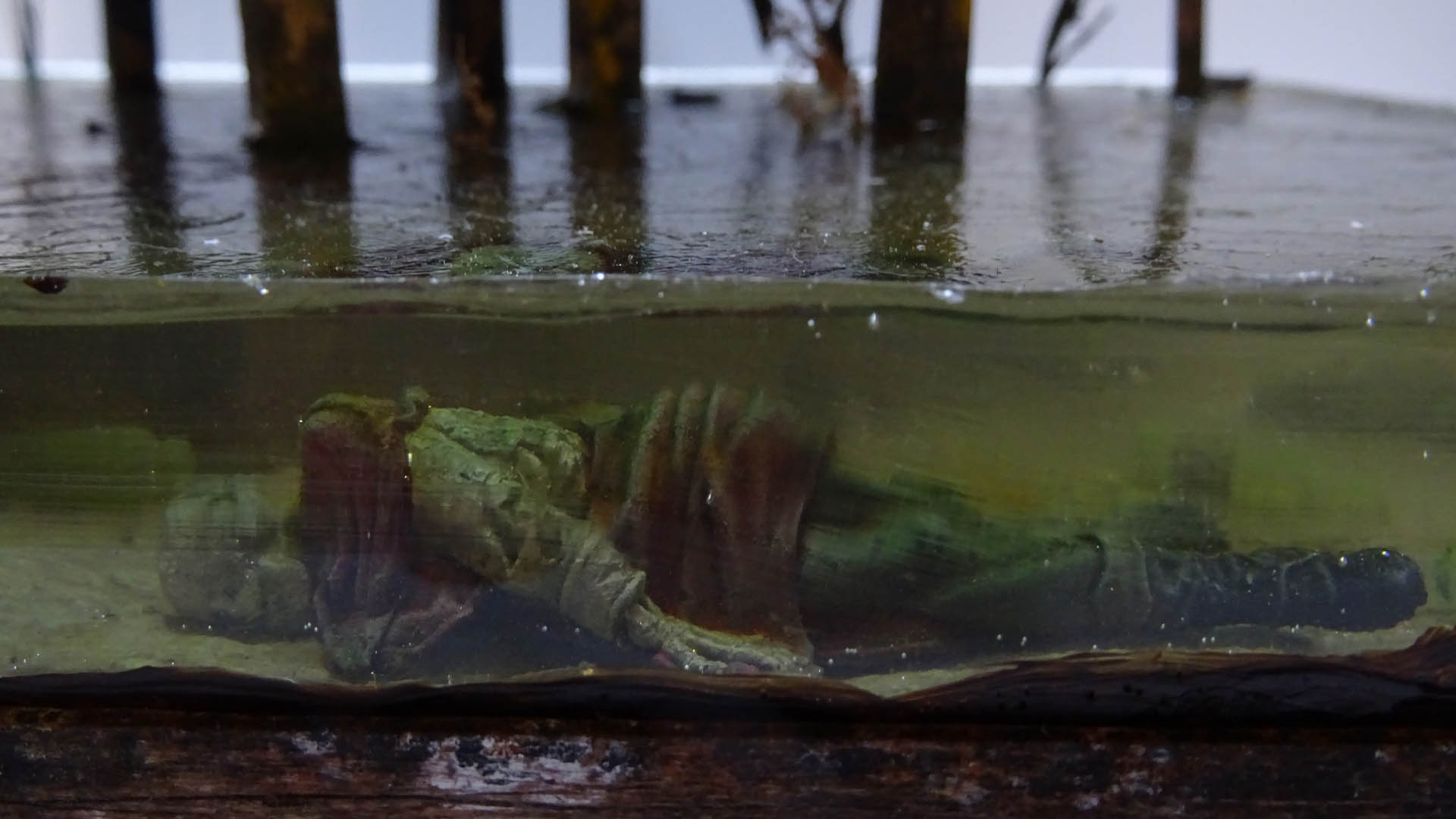 Diorama artístico de una cabaña de madera azul envejecida sobre pilotes en un pantano, con efectos de agua estancada, un bote de remos y detalles de vegetación pantanosa.
