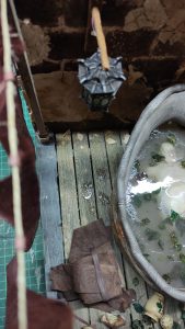 Proceso artesanal del diorama "El Nombre de la Rosa": recreación detallada de los baños del monasterio medieval con Berengario muerto en la bañera, modelado de texturas de piedra húmeda y envejecimiento de mobiliario de madera real