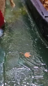 Diorama artesanal de Venecia durante la peste negra, mostrando a dos médicos de la peste con máscara frente a una góndola en un canal, con iluminación de farol.