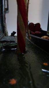 Diorama artesanal de Venecia durante la peste negra, mostrando a dos médicos de la peste con máscara frente a una góndola en un canal, con iluminación de farol.