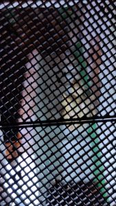 Proceso de creación de diorama artesanal inspirado en Silent Hill: detalles de construcción, pintura técnica y envejecido de escenarios de terror en miniatura.