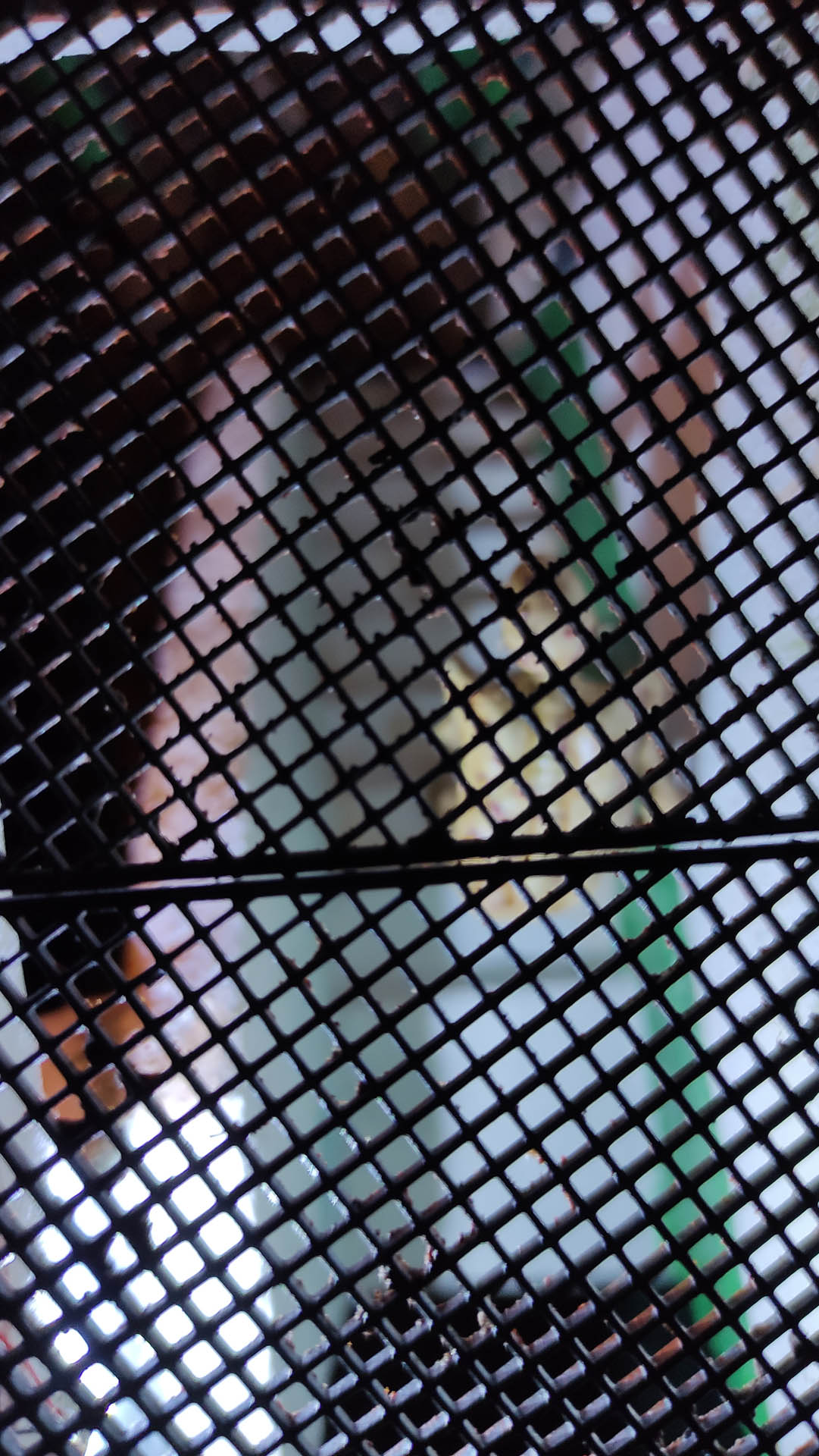 Proceso de creación de diorama artesanal inspirado en Silent Hill: detalles de construcción, pintura técnica y envejecido de escenarios de terror en miniatura.